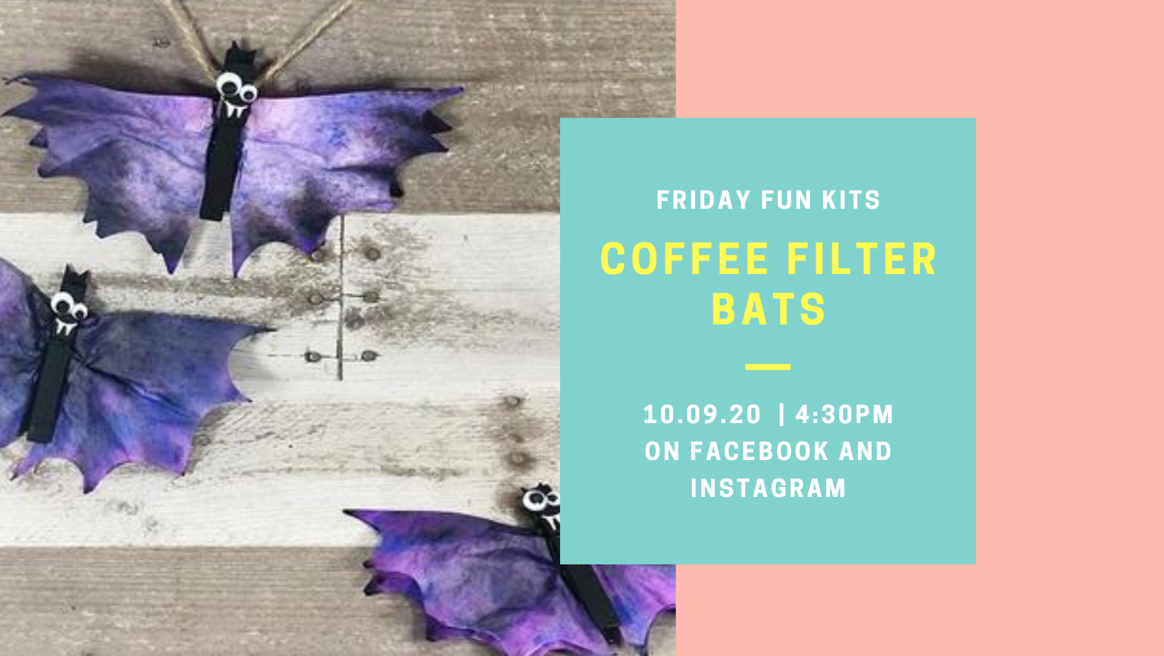 Clothespin bats with coffee filter wings