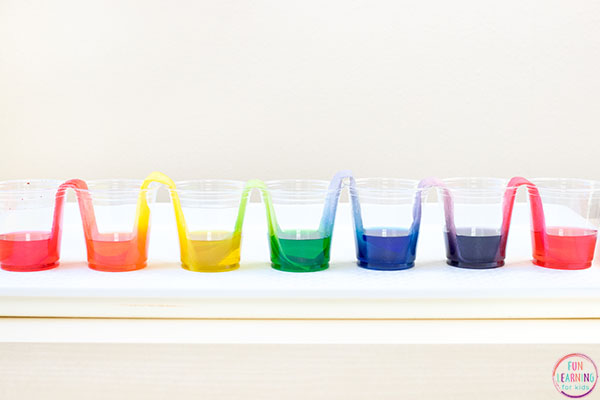 Seven plastic cups with colored water in them and folded paper towels leading from one cup to the next.