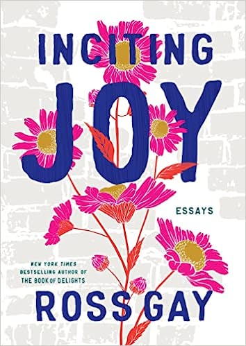Inciting joy book cover