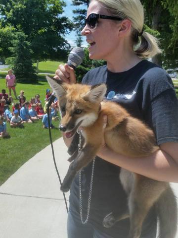 Woman holding a fox