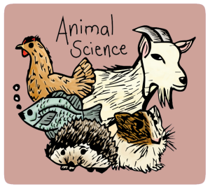 Illustration of a chicken, hedgehog, fish, and goat together