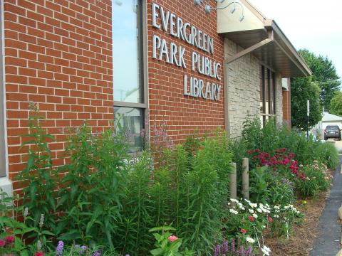Evergreen Park Library Butterfly Garden