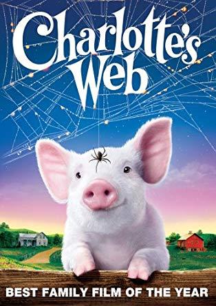 A pig under a spider web