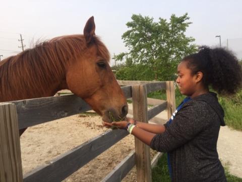 Barn Tour at 50-Acre Park