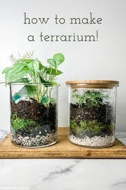 Stacks Social Club: DIY Spring Terrariums