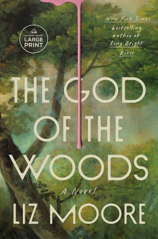God of the Woods by Liz Moore