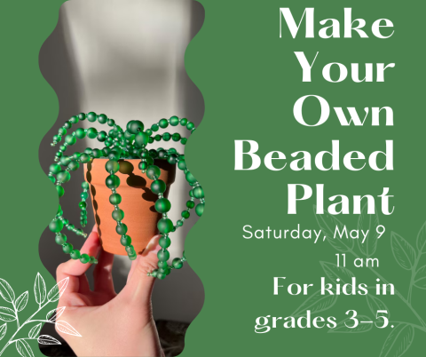 A beaded plant in a terra cotta pot.