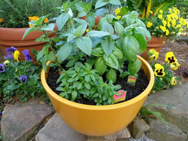 herb planter