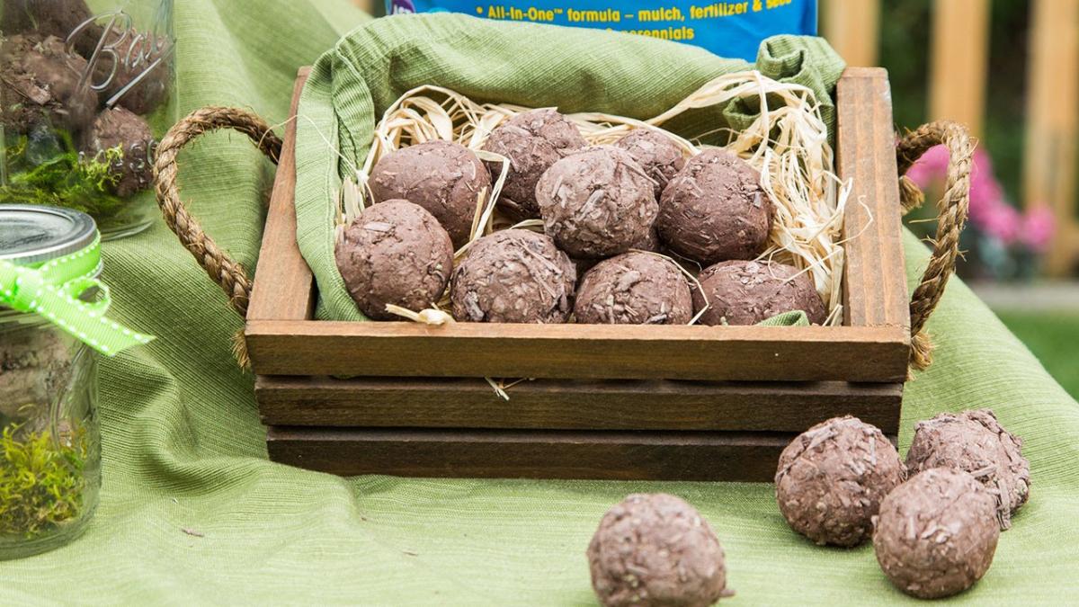 a wooden basket filled with clay seed bombs