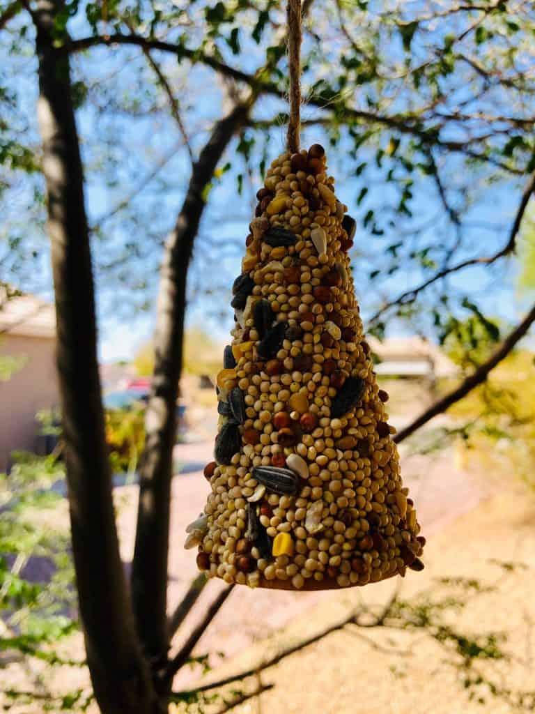 Ice cream cone covered in bird seed, hanging from a tree.